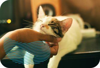 Personal Pet
