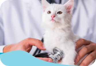 Veterinário