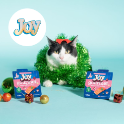 Joy