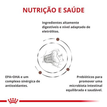 Ração Royal Canin Gastrointestinal Fibre Response Gatos Adultos benefícios