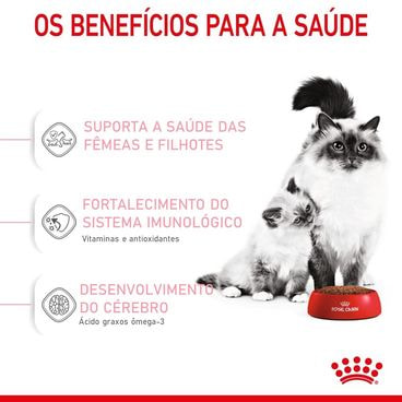 Racao-Royal-Canin-Mother---Babycat-Beneficios