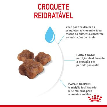 Racao-Royal-Canin-Mother---Babycat-Croquete-Reidratavel