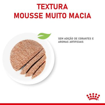 Ração Úmida Royal Canin Mother e Babycat Instinctive Textura Mousse