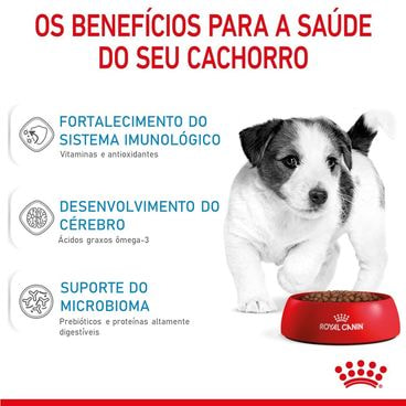 Racao-Royal-Canin-Mini-Puppy-Caes-Filhotes-Beneficios