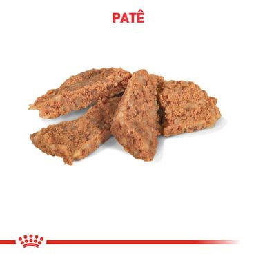 Racao-Umida-Royal-Canin-Gastrointestinal-Caes-Adultos-Textura-do-pate