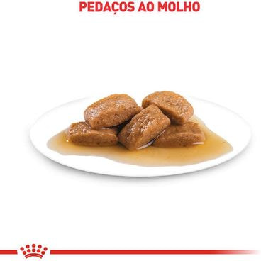 Urinary Pedaços ao molho