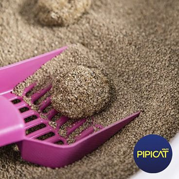 Granulado Sanitário para Gatos Perfumado Pipicat Floral Grão