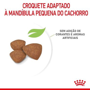 Ração Royal Canin Mini Indoor Cães Filhotes Croquete Adaptado