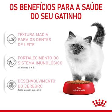 ração úmida royal canin kitten gatos filhotes benefícios