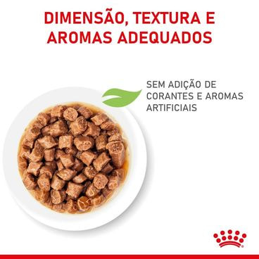 ração úmida royal canin kitten gatos filhotes sem adição de corantes e aromatizantes artificiais