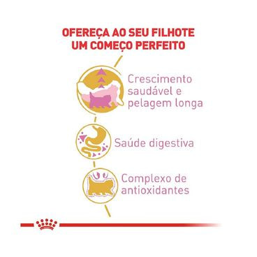 Ração Royal Canin Kitten Persa Gatos Filhotes  Crescimento saudável e Pelagem Longa