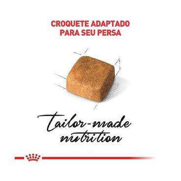 Ração Royal Canin Kitten Persa Gatos Filhotes Ração SAdaptada para Persa