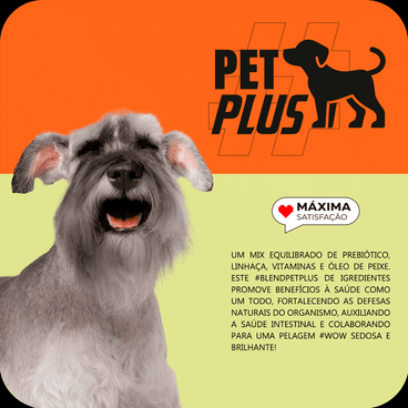 Racao-Max-para-Caes-Senior-Racas-Pequenas-Frango-e-Arroz-PetPlus