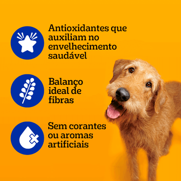 Benefícios da Ração Úmida Pedigree Sachê Cães Adultos Sênior 7+ Anos Carne ao Molho