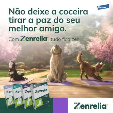 Com-Zenrelia-tudo-fica-zen