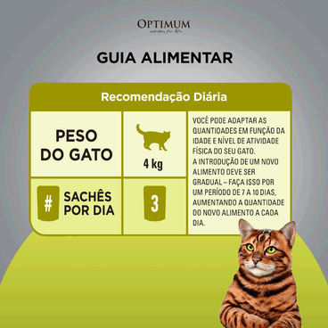 Guia-Alimentar