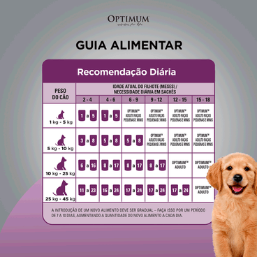 Guia-Alimentar