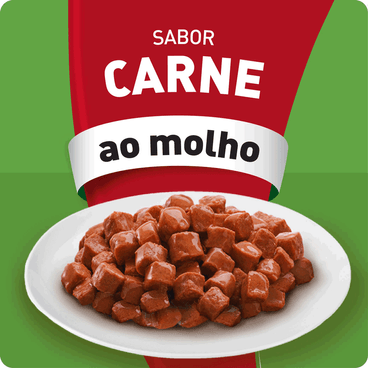 Sabor Carne ao Molho