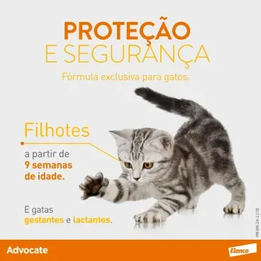 6-Antipulgas-Advocate-Gatos-entre-4-e-8kg-1-pipeta.webp