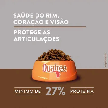 4-Saude-do-Rim