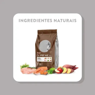 9-Ingredientes-Naturais