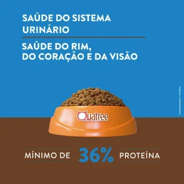 3-Saude-do-Sistema-Urinario