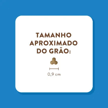 5-Tamanho-do-Grao