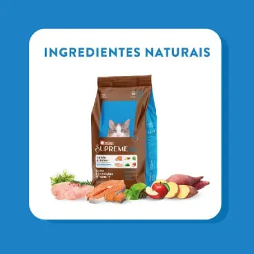 8-Ingredientes-naturais