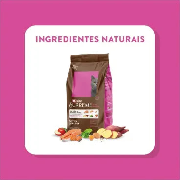 9-Ingredientes-Naturais