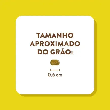 6-Tamanho-do-Grao