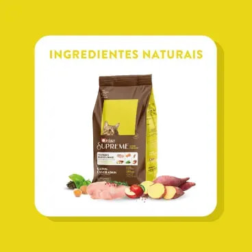 9-Ingredientes-Naturais