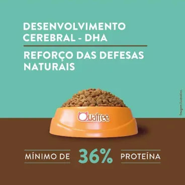 4-Desenvolvimento-Cerebral