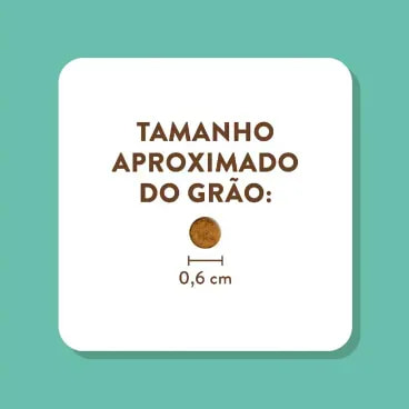 6-Tamanho-do-Grao