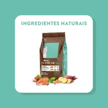 9-Ingredientes-naturais