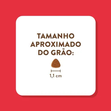 6-Tamanho-do-Grao