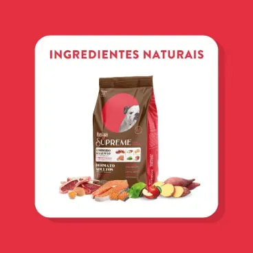 9-Ingredientes-Naturais