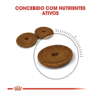 2_Racao Royal Canin Cuidado Digestivo para Gatos Adultos