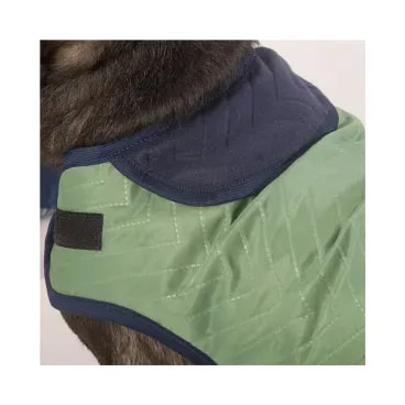 4-Capa Dupla Face Verde Fabrica Pet