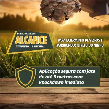 2-Inseticida-Alcance-Aerossol-Haxea