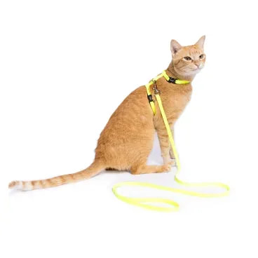 2-Peitoral H com Guia para Gatos Tchucoo Amarelo