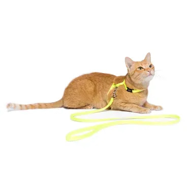 3-Peitoral H com Guia para Gatos Tchucoo Amarelo