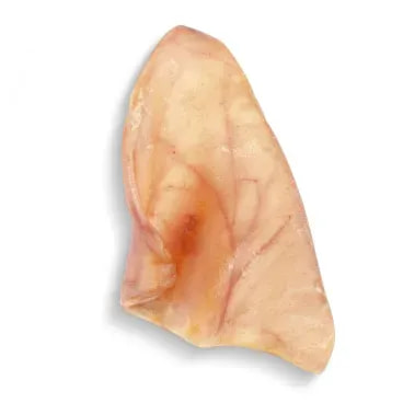 1-Recuperado2-Petisco Orelha Suina para Caes Mastig