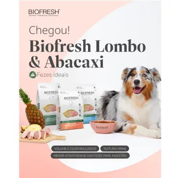 4-Racao-Biofresh-Lombo-e-Abacaxi