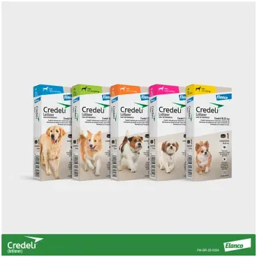 9-Antipulgas Credeli 450mg Caes 11 a 22kg 1 comprimido