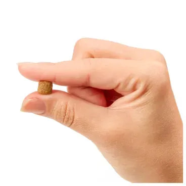 6-Racao-Joy-High-Premium-Caes-Adultos-RPF