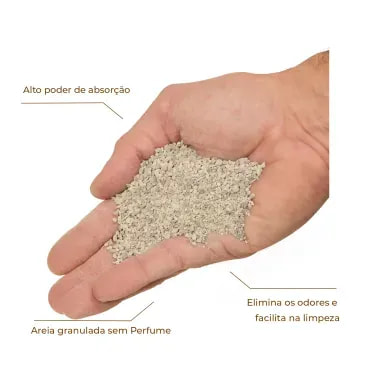 2-Areia Gato Easy Clean Granulada sem Perfume 9kg