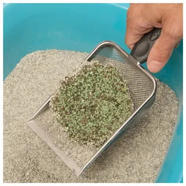 7-Areia Gato Easy Clean Granulada sem Perfume 9kg