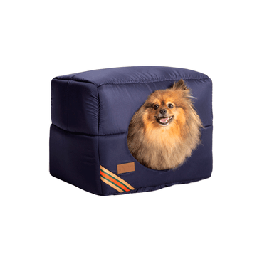 Splitz-dentro-da-Cama-Iglu-D-Acqua-Fabrica-Pet-