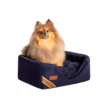 Splitz-em-cima-da-Cama-Iglu-D-Acqua-Fabrica-Pet-