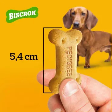 Biscoito-Pedigree-Biscrok-para-Caes-Adultos-Multi-500g-foto-de-mao-com-biscoito-na-mao-mostrando-o-tamanho